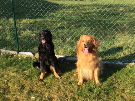 Fajara&Gonzo