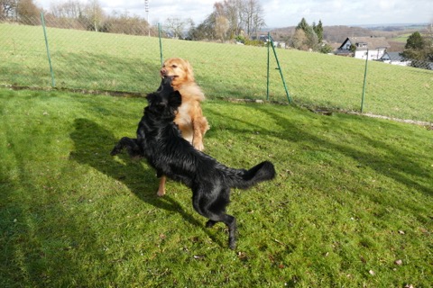 Pippa&Gonzo
