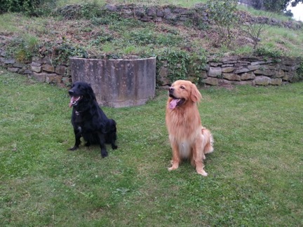 Jona&Gonzo